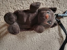 Cute brown cat for sale  ST. AUSTELL
