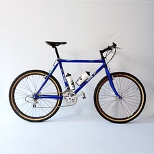 Gios evolution campagnolo usato  Sesto San Giovanni