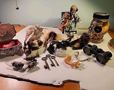 Mixed lot oddities for sale  Hampton