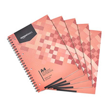 Amazon basics quaderno usato  Roccagloriosa