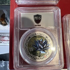 magic gathering black lotus for sale  Marinette