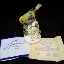 goldcrest for sale goldcrest for sale THETFORD