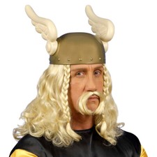 Perücke asterix blond gebraucht kaufen  Kolkwitz