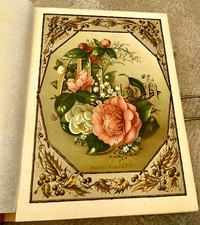Antique leather empty for sale  CHESTERFIELD