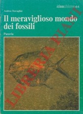 Travaglini andrea meraviglioso usato  Italia