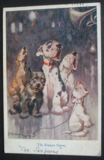 20s studdy dog for sale  HUNTINGDON