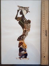 Afrikanische schmetterlingsfl� gebraucht kaufen  Karlstein a.Main