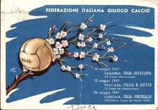 Cartolina federazione italiana usato  Italia