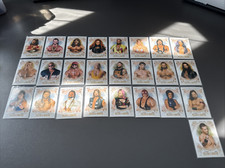 Wwe bundle topps gebraucht kaufen  Wegberg