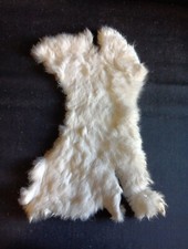 Peau lapin 1 d'occasion  Verquin