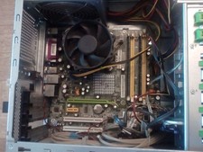 Scheda madre cpu usato  Siena