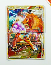 Pokemon entei raikou usato  Zandobbio