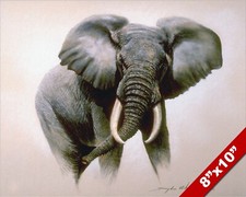 Wild african elephant for sale  South Jordan