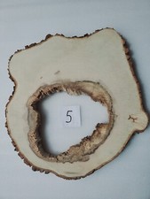 Int5 deko baumscheibe gebraucht kaufen  Meiningen