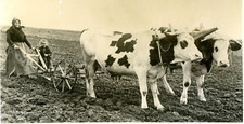 Vintage silver print d'occasion  Expédié en Belgium