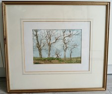 Trees landscape newlyn for sale  BRISTOL