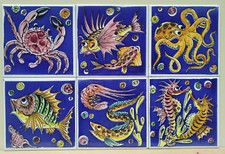Ceramica vietri mattonelle usato  Amalfi