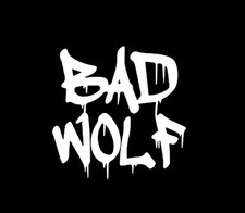 Doctor bad wolf for sale  Jamestown