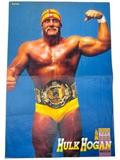 Hulk hogan hulkamania gebraucht kaufen  Illerrieden