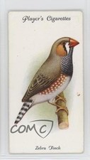1933 player aviary for sale  Auburn