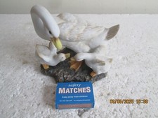 Leonardo duck ducklings for sale  POOLE
