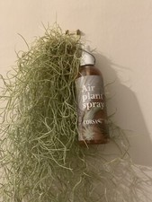Live spanish moss for sale  BURGESS HILL