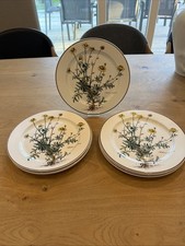 Villeroy boch botanica gebraucht kaufen  Nürnberg
