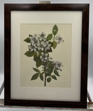 Vintage floral print for sale  Springdale