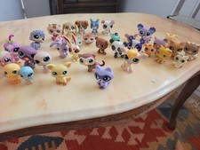 Lot petshop chats d'occasion  Saint-Loup-sur-Semouse