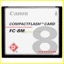 Scheda compact flash usato  Busto Arsizio
