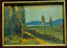 Dipinto olio cartoncino usato  Campi Bisenzio