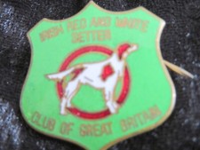 irish red setter for sale irish red setter for sale BARNSLEY