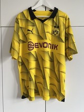 Bvb borussia dortmund gebraucht kaufen  Köln