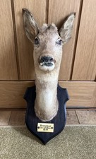 Vintage french roe for sale  SELBY