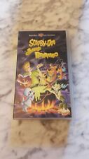 Vhs scooby doo usato  Ficarolo