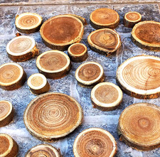 Packungen holzscheiben astsche gebraucht kaufen Packungen holzscheiben astsche gebraucht kaufen  Bensheim