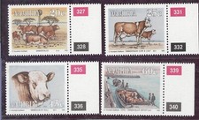 Namibia simmentaler rinder gebraucht kaufen  Deutschland