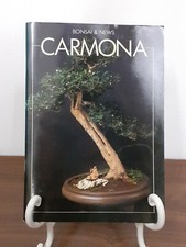 Bonsai news carmona usato  Rimini