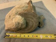 Cetacean vertebra bone for sale  Oakdale