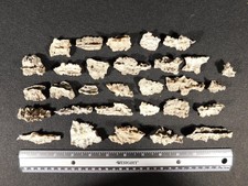 Huge lot thirty for sale  Salt Lake City