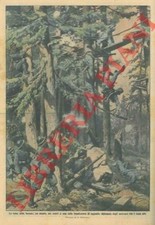 Beltrame assalto dei usato Beltrame assalto dei usato  Italia