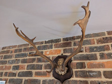 Set antique early for sale  BRIGHTON