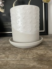 Disney homestead stone for sale  ROTHERHAM