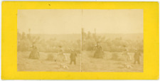 Stereo farmwork hay d'occasion  Expédié en Belgium