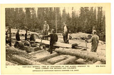 Portable sawmill alaska for sale  Bergen
