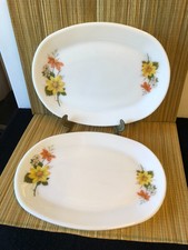 Pair pyrex steak for sale  BALLYMENA