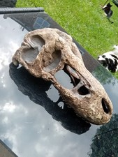 Exo terra rex for sale  MALVERN
