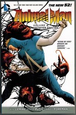 Animal man splinter usato  Italia