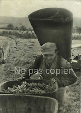 Riquewihr vendanges 1950 d'occasion  Paris V