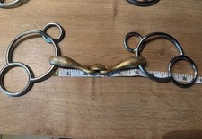 Neue schule turtle for sale  CHESTER